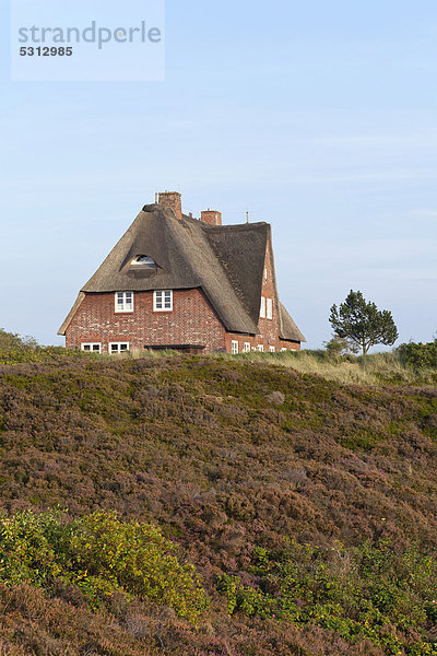 Europa Liste Deutschland Schleswig-Holstein Reetdachhaus