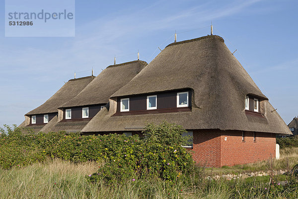 Europa Liste Deutschland Schleswig-Holstein