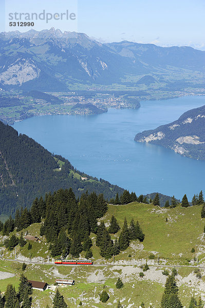 Sicht von der Schynige Platte mit Thunersee und Thun  Wilderswil  Bern  Schweiz  Europa