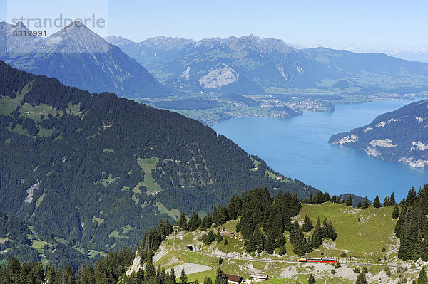 Sicht von der Schynige Platte mit Thunersee und Niesen  Wilderswil  Bern  Schweiz  Europa