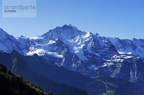 Sicht von der Schynige Platte auf das Jungfraujoch  Interlaken  Bern  Schweiz  Europa