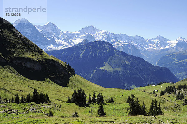 Sicht von der Schynige Platte auf Eiger  Mönch und Jungfrau  Wilderswil  Bern  Schweiz  Europa