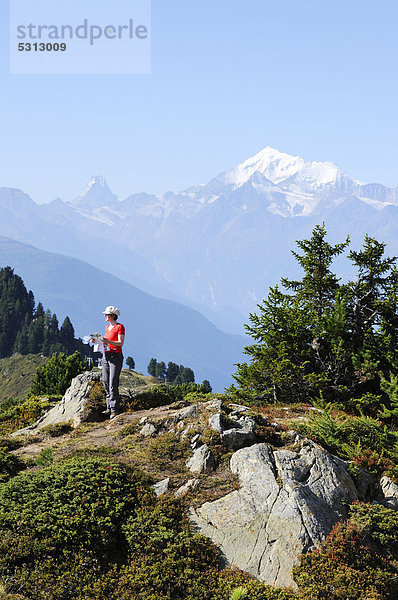 Bergwanderin vor Matterhorn und Täschhorn stehend  Riederalp  Wallis  Schweiz  Europa