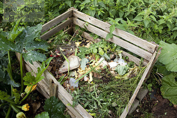Biomüll  Kompost  Komposthaufen  Deutschland  Europa
