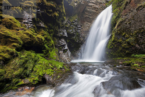 Wasserfall in Feuerland  Tierra del Fuego  Argentinien  Südamerika  Amerika