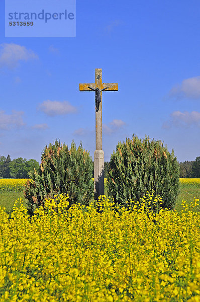 Feldkreuz mit Christusfigur  Schwäbische Alb  Baden-Württemberg  Deutschland  Europa  ÖffentlicherGrund