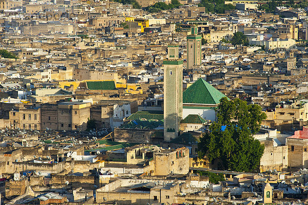 Blick auf die Altstadt  Medina  Fes el Bali mit der Kairouan Moschee im Vordergrund  Fes  Marokko  Afrika