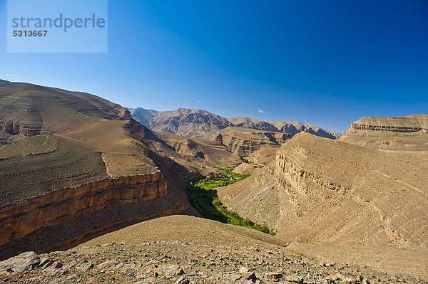Canyonartiges Flusstal des Dades  am Fluss haben die Berber kleine Felder angelegt  oberes Dadestal  Hoher Atlas  Marokko  Afrika