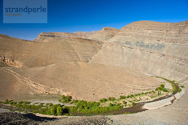 Canonartiges Flusstal des Dades  am Fluss haben die Berber kleine Felder angelegt  Dadestal  Hoher Atlas  Marokko  Afrika