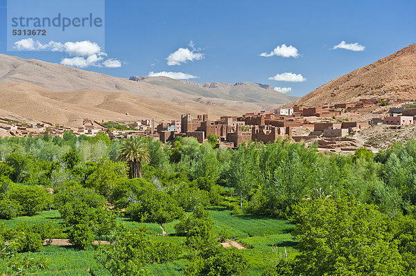 Typische Landschaft im Flusstal des Dades mit kleiner Siedlung und Kasbah der Berber und bewirtschafteten Feldern  oberes Dadestal  Hoher Atlas  Marokko  Afrika