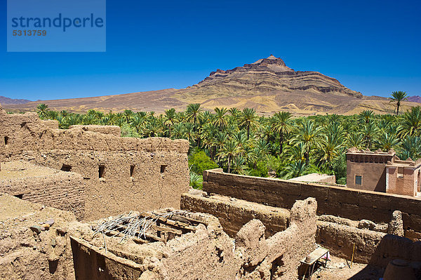 Ausblick vom Dach einer verfallenden Kasbah  Lehmburg  Wohnburg der Berber  Tighremt  auf einen Palmenhain und den Djebel Kissane  Draa-Tal  Südmarokko  Marokko  Afrika