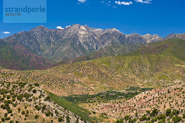 Berglandschaft im Hohen Atlas  im Tal liegt eine kleine Siedlung der Berber umgeben von Bäumen  Passstraße Tizi-n-Test  Südmarokko  Marokko  Afrika