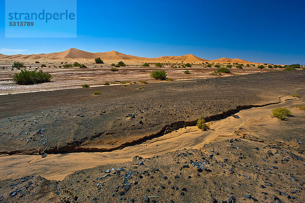 Ausgetrocknetes Flussbett und Hammada Steinwüste  hinten Sanddünen des Erg Chebbi  Südmarokko  Marokko  Afrika