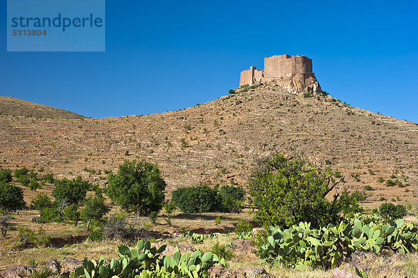 Befestigte Speicherburg  Agadir Tasguent auf einer Bergspitze  Antiatlas  Südmarokko  Marokko  Afrika