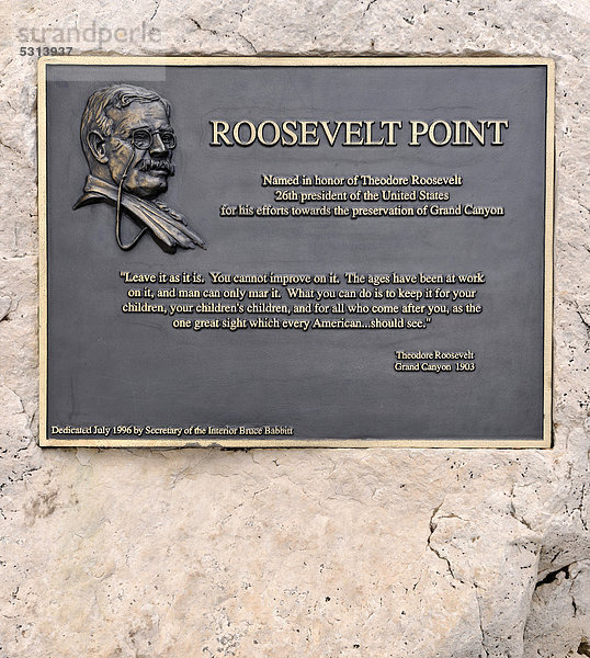 Gedenktafel für Theodore Roosevelt  Roosevelt Point  Grand Canyon National Park  North Rim  Nordrand  Arizona  Vereinigte Staaten von Amerika  USA