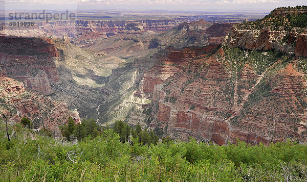 Blick von Aussichtspunkt Roosevelt Point auf Nankoweap Canyon  Grand Canyon National Park  North Rim  Nordrand  Arizona  Vereinigte Staaten von Amerika  USA
