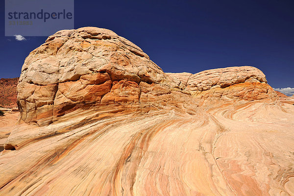 Brain Rocks  Top Rock  Südeingang zum Sandsteinfelsen The Wave  North Coyote Buttes  Paria Canyon  Vermillion Cliffs National Monument  Arizona  Utah  Vereinigte Staaten von Amerika  USA