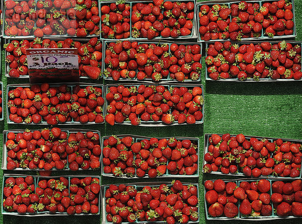Bio-Erdbeeren  Obstverkauf Farmers Market  Crocker Galleria  Financial District  San Francisco  Kalifornien  Vereinigte Staaten von Amerika  USA