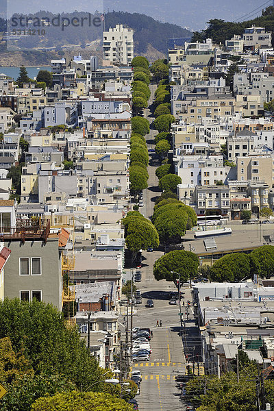 Blick von Lombard Street bis Telegraph Hill und Treasure Island  San Francisco  Kalifornien  Vereinigte Staaten von Amerika  USA  ÖffentlicherGrund