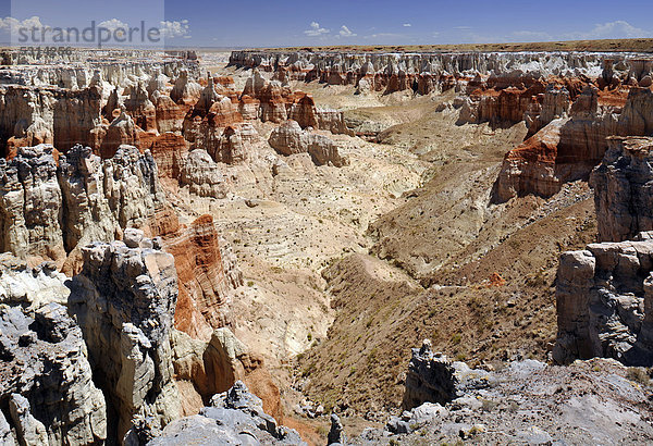 Durch Mineralien verfärbte  erodierte Hoodoos und Felsformation des Coal Mine Canyon  Coal Mine Mesa  Painted Desert  Hopi Reservation  Navajo Nation Reservation  Arizona  Vereinigte Staaten von Amerika  USA
