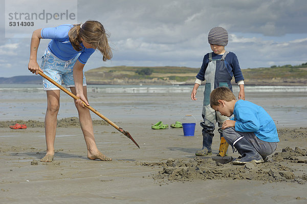 Junge Angler beim Graben nach Wattwürmern (Arenicola marina) am Atlantikstrand  Finistere  Bretagne  Frankreich  Europa  ÖffentlicherGrund
