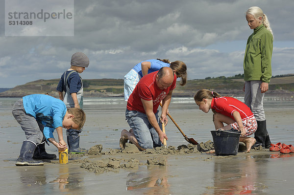 Junge Angler und ein Erwachsener beim Graben nach Wattwürmern (Arenicola marina) am Atlantikstrand  Finistere  Bretagne  Frankreich  Europa  ÖffentlicherGrund
