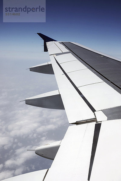 Tragfläche  links  Flügelspitze  Winglet  Flugzeug  Airbus  A  A320  A321  Wolken  über Fuerteventura  Kanarische Inseln  Spanien  Europa