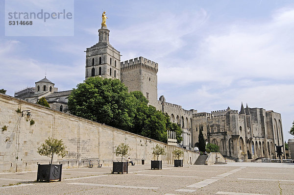 Palais des Papes  Papstpalast und Kathedrale Notre-Dame des Doms  Avignon  Provence  Südfrankreich  Frankreich  Europa