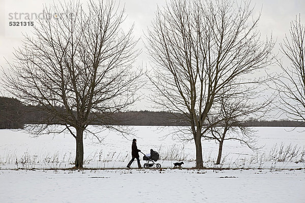 Frau geht mit Kinderwagen und Hund im Winter auf einem Feldweg zwischen verschneiten Wiesen spazieren  Barnstedt  Niedersachsen  Deutschland  Europa