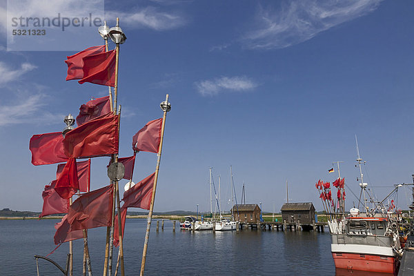Fischkutter und Segelschiffe im Hafen von Gager  Insel Rügen  Ostseeküste  Mecklenburg-Vorpommern  Deutschland  Europa