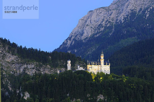 Schloss Neuschwanstein bei Füssen  Ostallgäu  Allgäu  Schwaben  Bayern  Deutschland  Europa  ÖffentlicherGrund