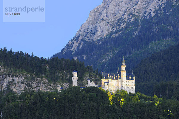 Schloss Neuschwanstein bei Füssen  Ostallgäu  Allgäu  Schwaben  Bayern  Deutschland  Europa  ÖffentlicherGrund