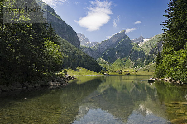 Seealpsee  hinten der Säntis  Alpstein  Appenzellerland  Schweiz  Europa