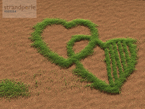 Gras auf Sandboden bildet zwei Herzen  Illustration