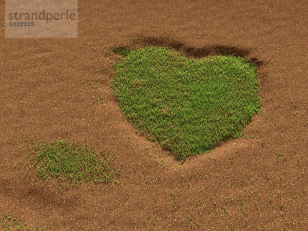 Gras auf Sandboden wächst in Gestalt eines Herzens  Illustration