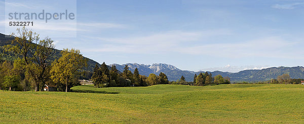 Landschaft bei Greiling  Tölzer Land  Oberbayern  Bayern  Deutschland  Europa