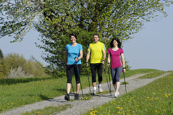 Nordic Walking Gruppe  mit Sport-Coach  Trainer