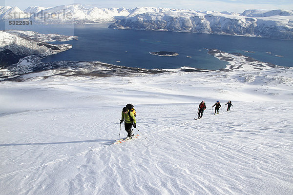Skitourengruppe  Schnee  Fjorde  Lyngenalps  Norwegen  Europa