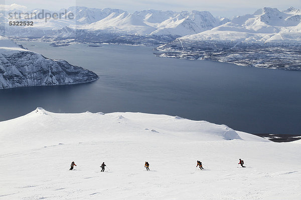 Skitourengruppe bei der Abfahrt  Schnee  Fjord  Lyngenalps  Norwegen  Europa