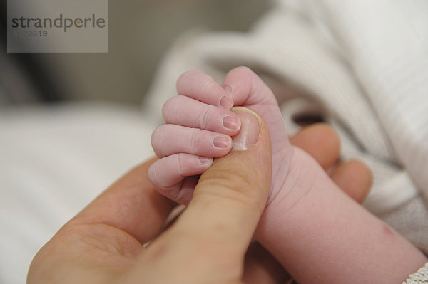 Hand von einem Neugeborenen kurz nach der Geburt mit Hand eines Elternteils