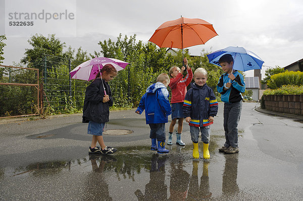 5 Kinder mit Regenschirmen stehen um eine Pfütze  Assamstadt  Baden-Württemberg  Deutschland  Europa