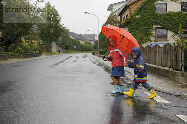 Zwei Kinder  3 und 7 Jahre  überqueren im Regen die Straße  Assamstadt  Baden-Württemberg  Deutschland  Europa