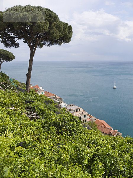 Küste von Amalfi  Costiera Amalfitana or Amalfiküste  UNESCO Weltkulturerbe  Kampanien  Italien  Europa