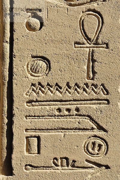 Hieroglyphen  Tempel von Philae  UNESCO Weltkulturerbe  Assuan  Niltal  Ägypten  Afrika