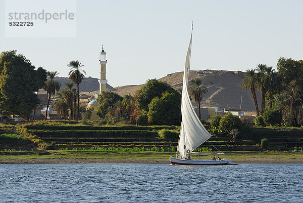 Felucke  traditionelles Segelboot auf dem Nil  Assuan  Niltal  Ägypten  Afrika