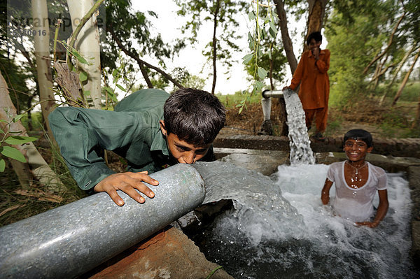Kinder kühlen sich in einer Quellfassung  die von Rohrbrunnen gespeist wird  Dorf Basti Lehar Walla  Punjab  Pakistan  Asien