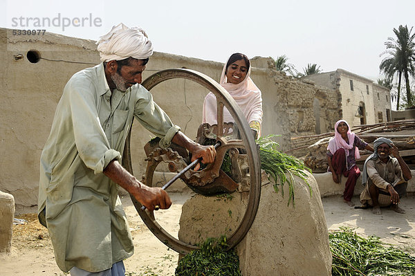 Bauer und Tochter häckseln Gras  um es an Ziegen und Rinder zu verfüttern  Dorf Basti Lehar Walla  Punjab  Pakistan  Asien