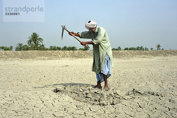 Bauer bearbeitet einen ausgetrockneten Lehmboden  Dorf Basti Lehar Walla  Punjab  Pakistan  Asien