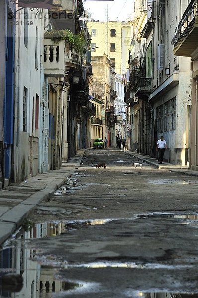 Straße in der Altstadt von Havanna  Kuba  Karibik