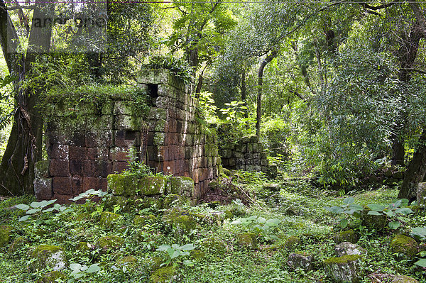 Ruinen der Jesuitenreduktion Santa Maria la Mayor  Misiones Provinz  Argentinien  Südamerika